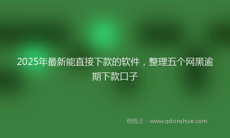 2025年最新能直接下款的软件，整理五个网黑逾期下款口子