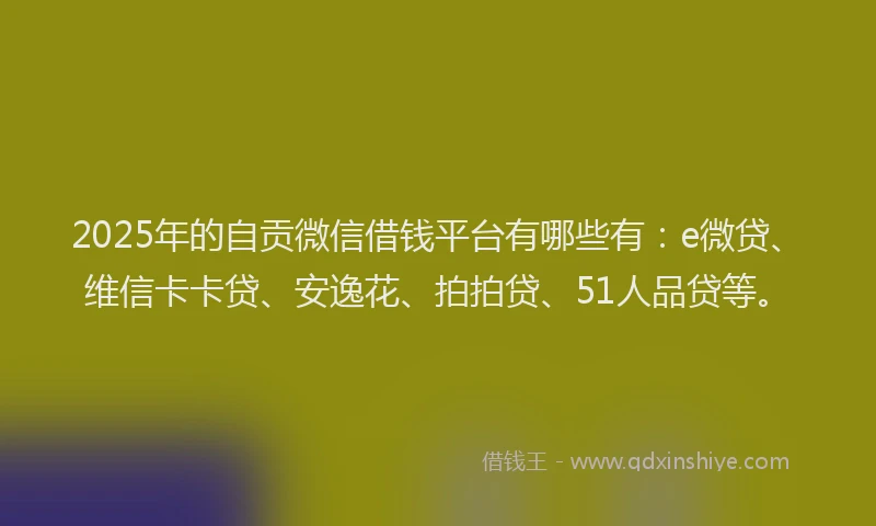 2025年的自贡微信借钱平台有哪些有：e微贷、维信卡卡贷、安逸花、拍拍贷、51人品贷等。