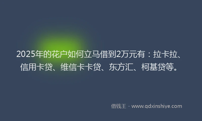 2025年的花户如何立马借到2万元有：拉卡拉、信用卡贷、维信卡卡贷、东方汇、柯基贷等。