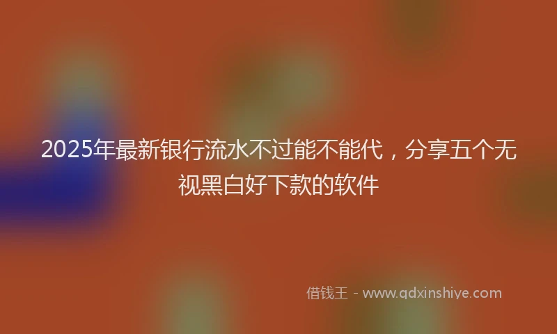 2025年最新银行流水不过能不能代，分享五个无视黑白好下款的软件
