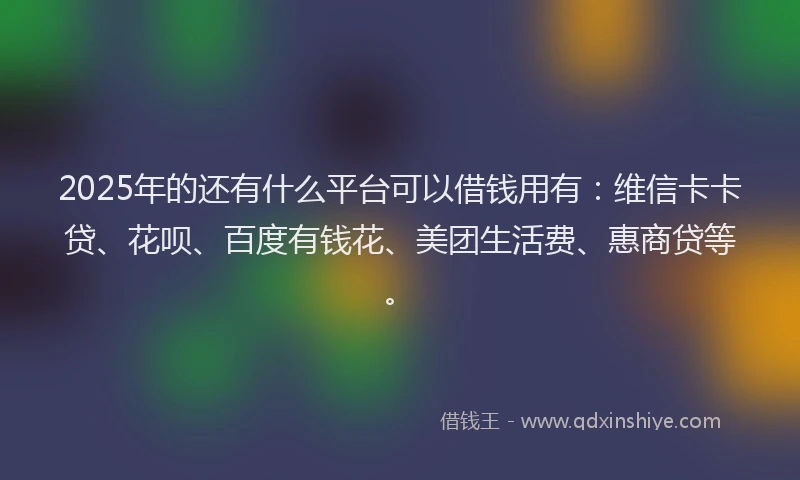 2025年的还有什么平台可以借钱用有：维信卡卡贷、花呗、百度有钱花、美团生活费、惠商贷等。