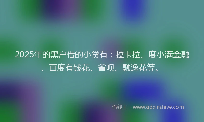 2025年的黑户借的小贷有：拉卡拉、度小满金融、百度有钱花、省呗、融逸花等。