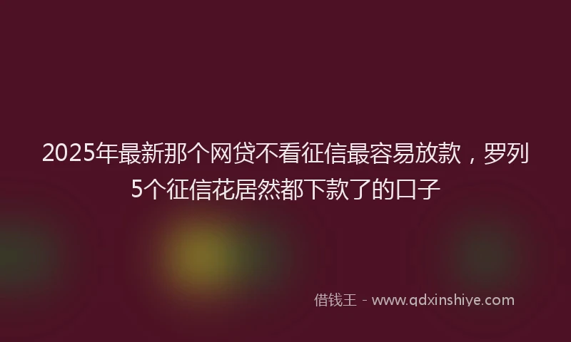 2025年最新那个网贷不看征信最容易放款，罗列5个征信花居然都下款了的口子