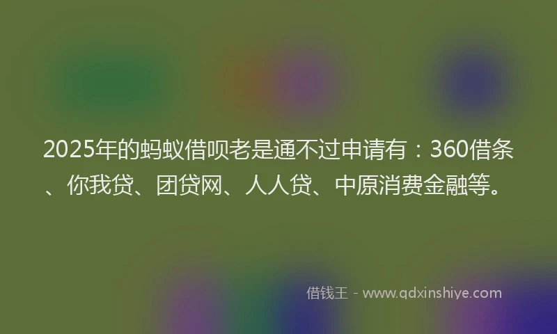 2025年的蚂蚁借呗老是通不过申请有：360借条、你我贷、团贷网、人人贷、中原消费金融等。