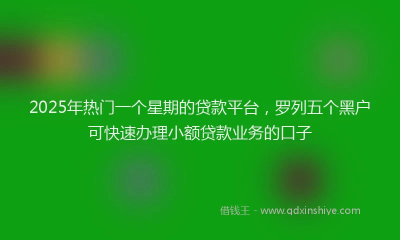 2025年热门一个星期的贷款平台，罗列五个黑户可快速办理小额贷款业务的口子