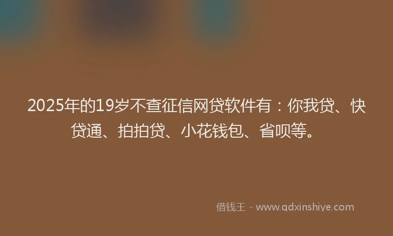 2025年的19岁不查征信网贷软件有：你我贷、快贷通、拍拍贷、小花钱包、省呗等。