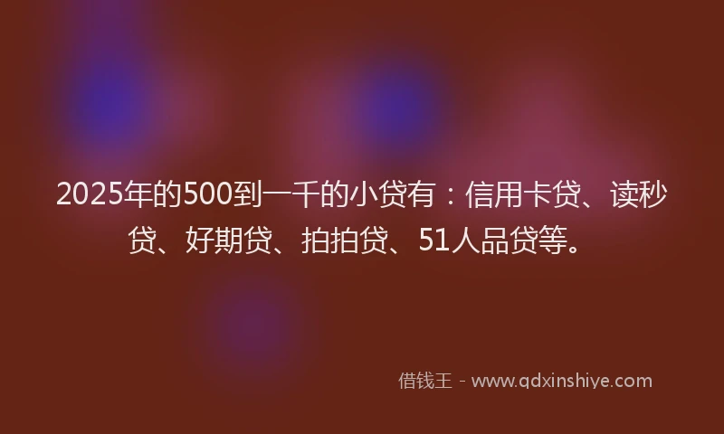 2025年的500到一千的小贷有：信用卡贷、读秒贷、好期贷、拍拍贷、51人品贷等。