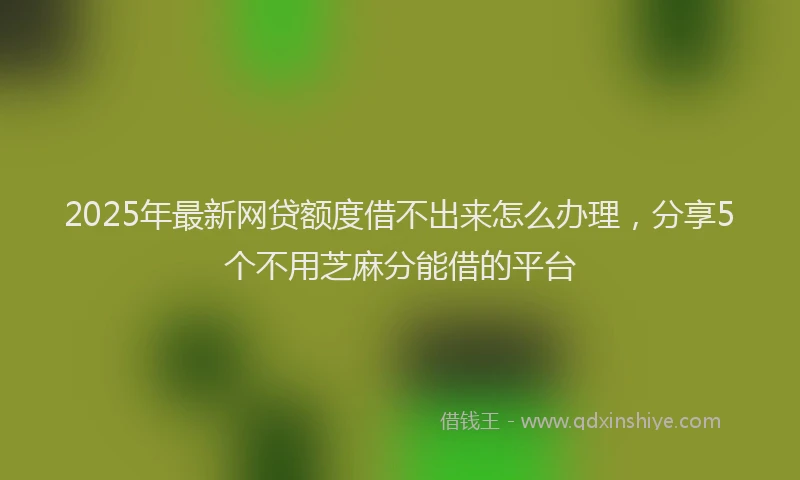 2025年最新网贷额度借不出来怎么办理，分享5个不用芝麻分能借的平台