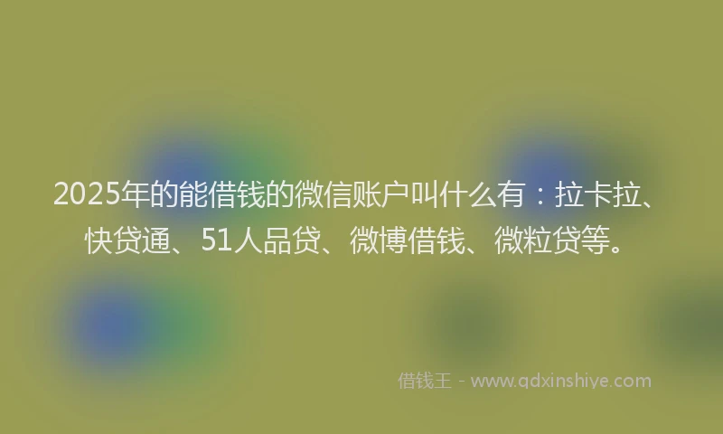 2025年的能借钱的微信账户叫什么有：拉卡拉、快贷通、51人品贷、微博借钱、微粒贷等。