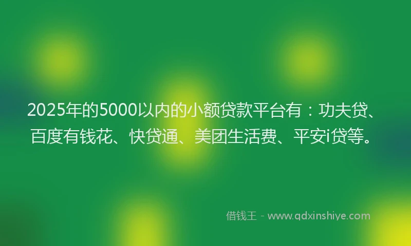 2025年的5000以内的小额贷款平台有：功夫贷、百度有钱花、快贷通、美团生活费、平安i贷等。