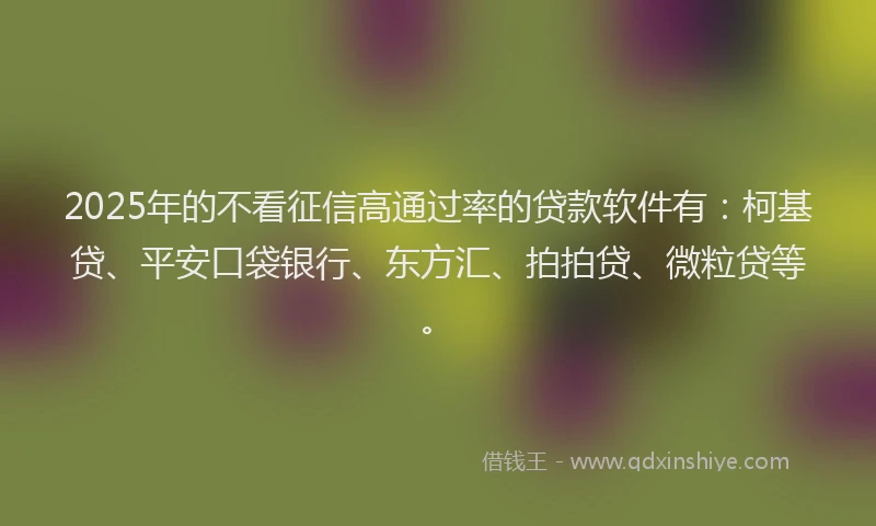 2025年的不看征信高通过率的贷款软件有：柯基贷、平安口袋银行、东方汇、拍拍贷、微粒贷等。