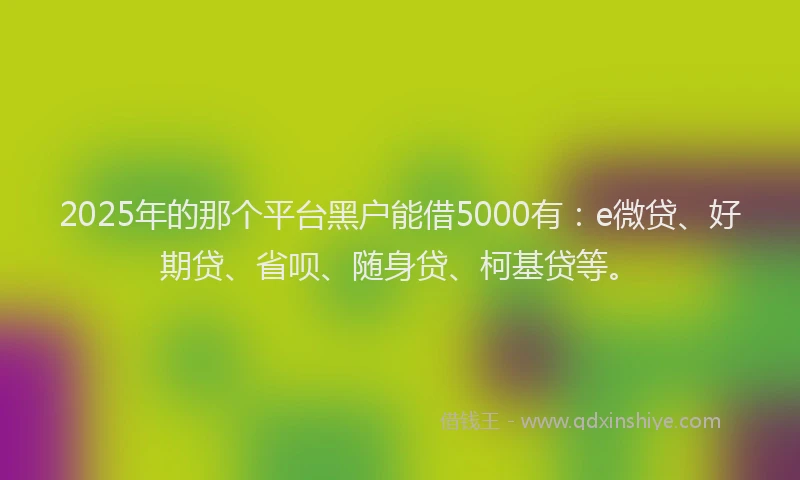 2025年的那个平台黑户能借5000有：e微贷、好期贷、省呗、随身贷、柯基贷等。