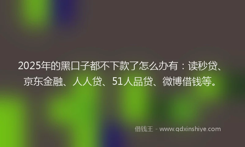 2025年的黑口子都不下款了怎么办有：读秒贷、京东金融、人人贷、51人品贷、微博借钱等。
