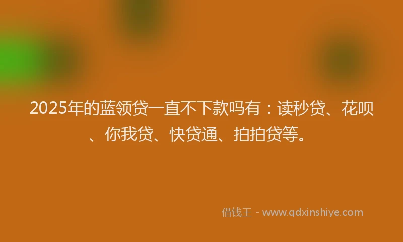 2025年的蓝领贷一直不下款吗有：读秒贷、花呗、你我贷、快贷通、拍拍贷等。