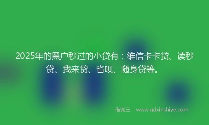2025年的黑户秒过的小贷有：维信卡卡贷、读秒贷、我来贷、省呗、随身贷等。