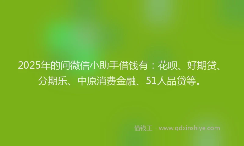2025年的问微信小助手借钱有：花呗、好期贷、分期乐、中原消费金融、51人品贷等。