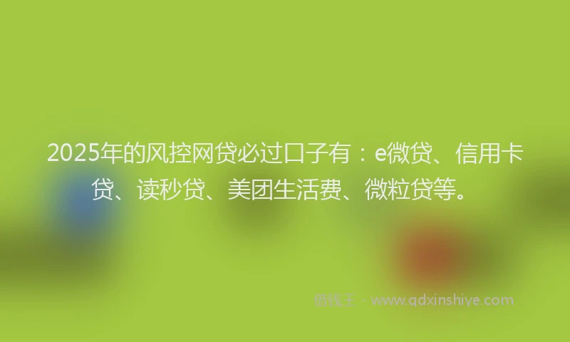 2025年的风控网贷必过口子有：e微贷、信用卡贷、读秒贷、美团生活费、微粒贷等。