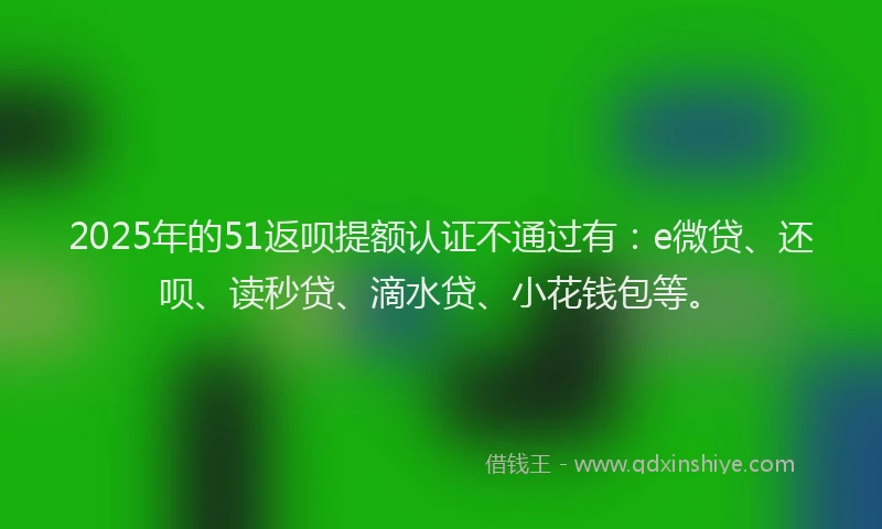2025年的51返呗提额认证不通过有：e微贷、还呗、读秒贷、滴水贷、小花钱包等。