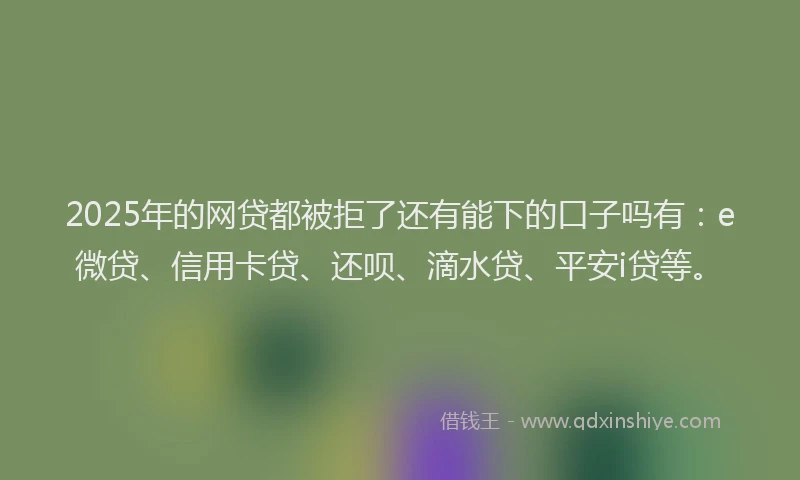 2025年的网贷都被拒了还有能下的口子吗有：e微贷、信用卡贷、还呗、滴水贷、平安i贷等。