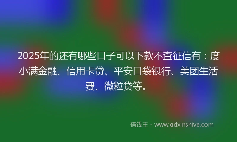 2025年的还有哪些口子可以下款不查征信有：度小满金融、信用卡贷、平安口袋银行、美团生活费、微粒贷等。