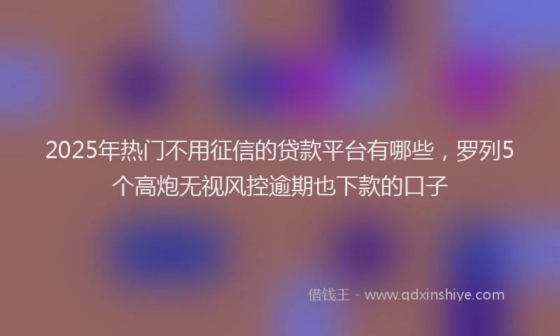 2025年热门不用征信的贷款平台有哪些，罗列5个高炮无视风控逾期也下款的口子
