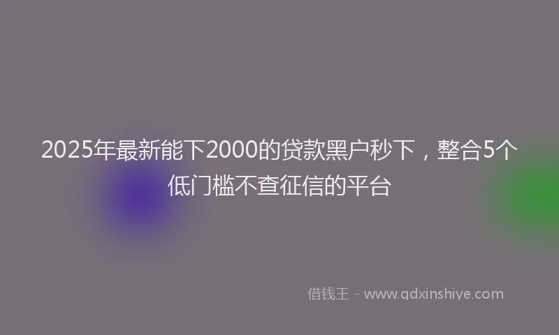 2025年最新能下2000的贷款黑户秒下，整合5个低门槛不查征信的平台