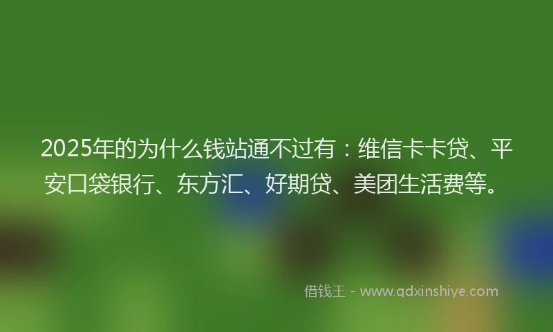 2025年的为什么钱站通不过有：维信卡卡贷、平安口袋银行、东方汇、好期贷、美团生活费等。