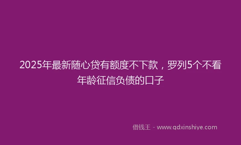 2025年最新随心贷有额度不下款，罗列5个不看年龄征信负债的口子