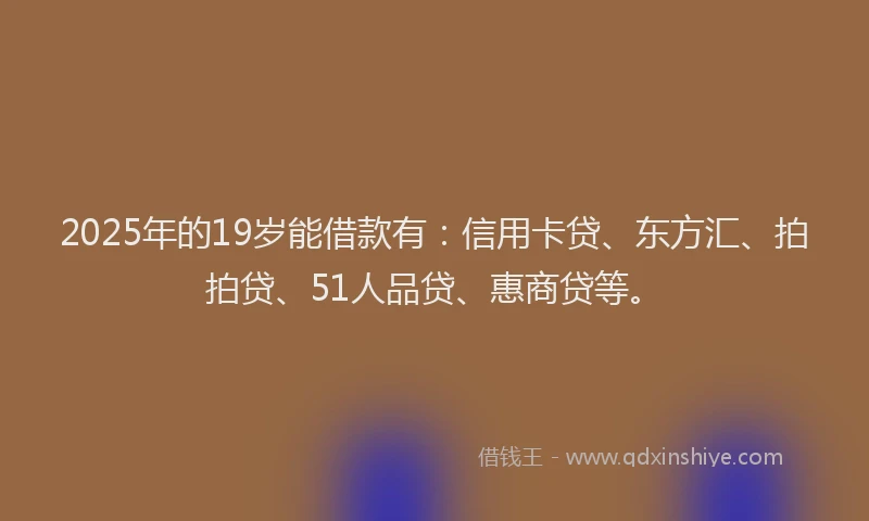 2025年的19岁能借款有：信用卡贷、东方汇、拍拍贷、51人品贷、惠商贷等。