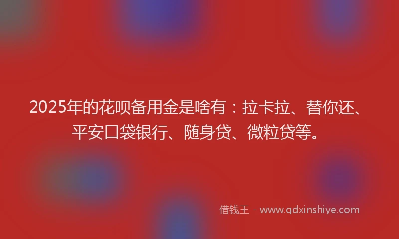 2025年的花呗备用金是啥有：拉卡拉、替你还、平安口袋银行、随身贷、微粒贷等。