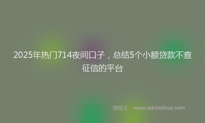 2025年热门714夜间口子，总结5个小额贷款不查征信的平台