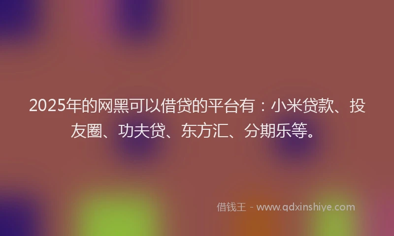 2025年的网黑可以借贷的平台有：小米贷款、投友圈、功夫贷、东方汇、分期乐等。