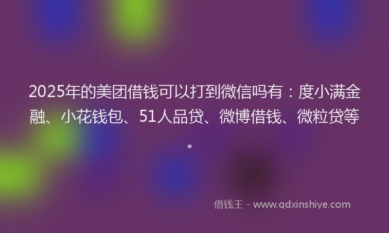 2025年的美团借钱可以打到微信吗有：度小满金融、小花钱包、51人品贷、微博借钱、微粒贷等。