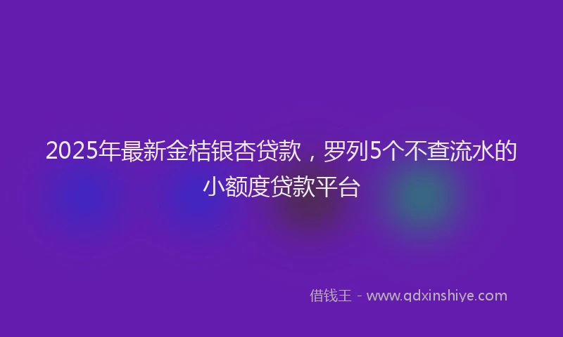 2025年最新金桔银杏贷款，罗列5个不查流水的小额度贷款平台