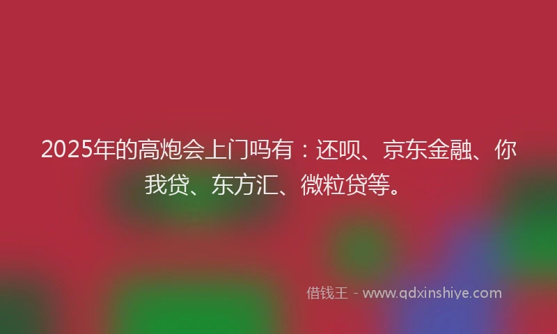 2025年的高炮会上门吗有：还呗、京东金融、你我贷、东方汇、微粒贷等。
