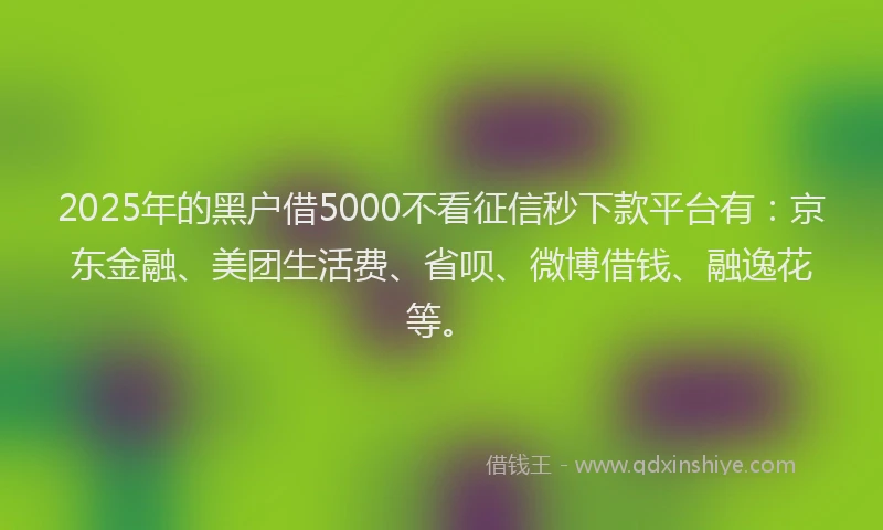 2025年的黑户借5000不看征信秒下款平台有：京东金融、美团生活费、省呗、微博借钱、融逸花等。