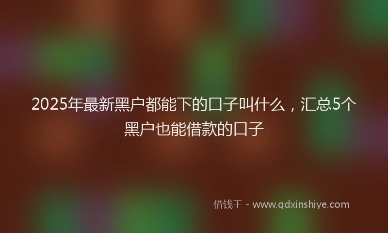 2025年最新黑户都能下的口子叫什么，汇总5个黑户也能借款的口子