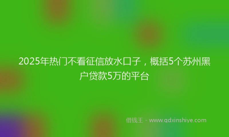 2025年热门不看征信放水口子，概括5个苏州黑户贷款5万的平台