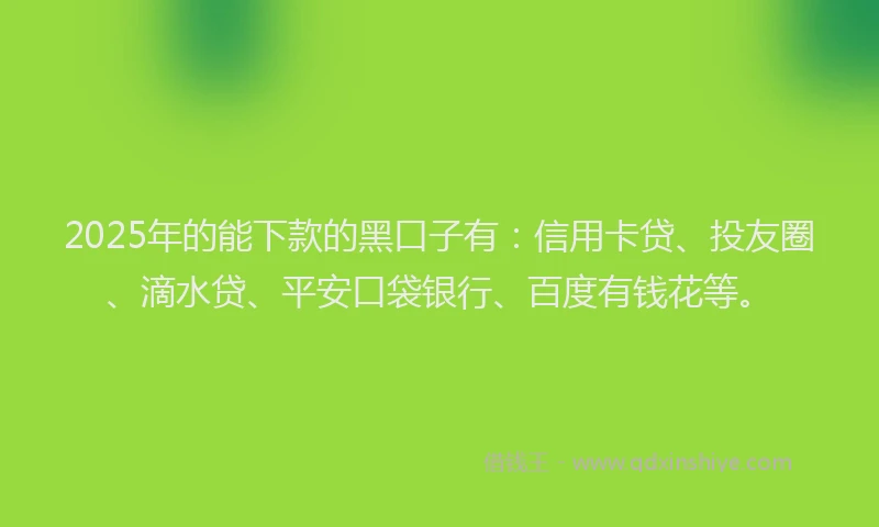 2025年的能下款的黑口子有：信用卡贷、投友圈、滴水贷、平安口袋银行、百度有钱花等。