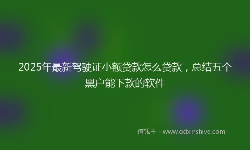 2025年最新驾驶证小额贷款怎么贷款，总结五个黑户能下款的软件