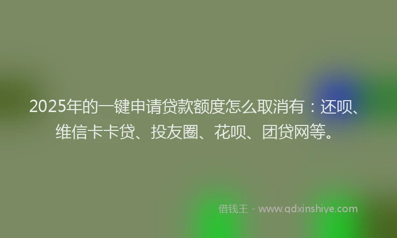 2025年的一键申请贷款额度怎么取消有：还呗、维信卡卡贷、投友圈、花呗、团贷网等。