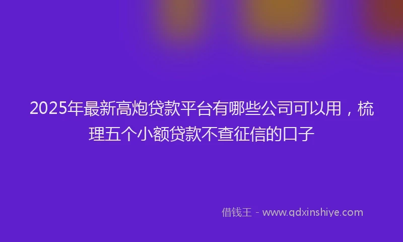 2025年最新高炮贷款平台有哪些公司可以用，梳理五个小额贷款不查征信的口子