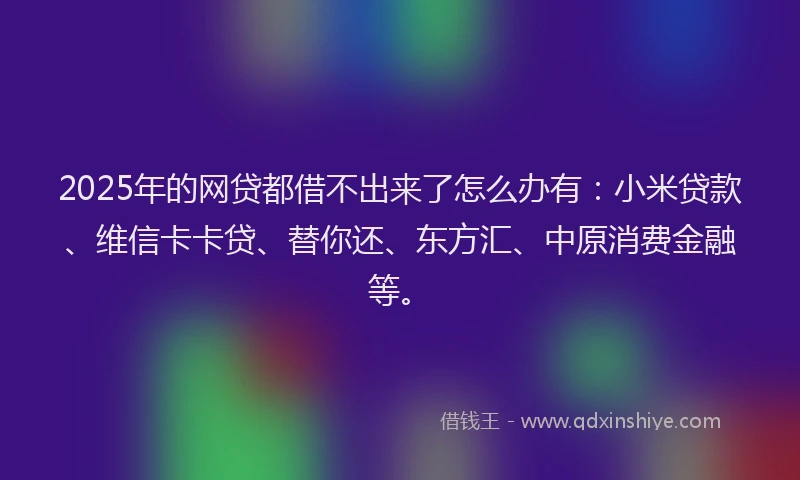 2025年的网贷都借不出来了怎么办有：小米贷款、维信卡卡贷、替你还、东方汇、中原消费金融等。