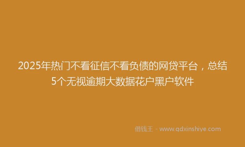 2025年热门不看征信不看负债的网贷平台，总结5个无视逾期大数据花户黑户软件