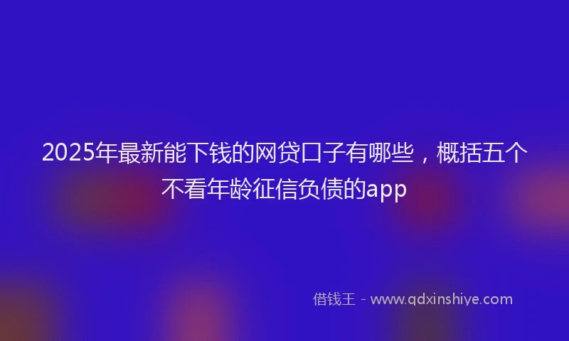 2025年最新能下钱的网贷口子有哪些，概括五个不看年龄征信负债的app