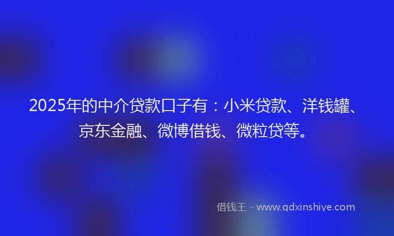 2025年的中介贷款口子有：小米贷款、洋钱罐、京东金融、微博借钱、微粒贷等。