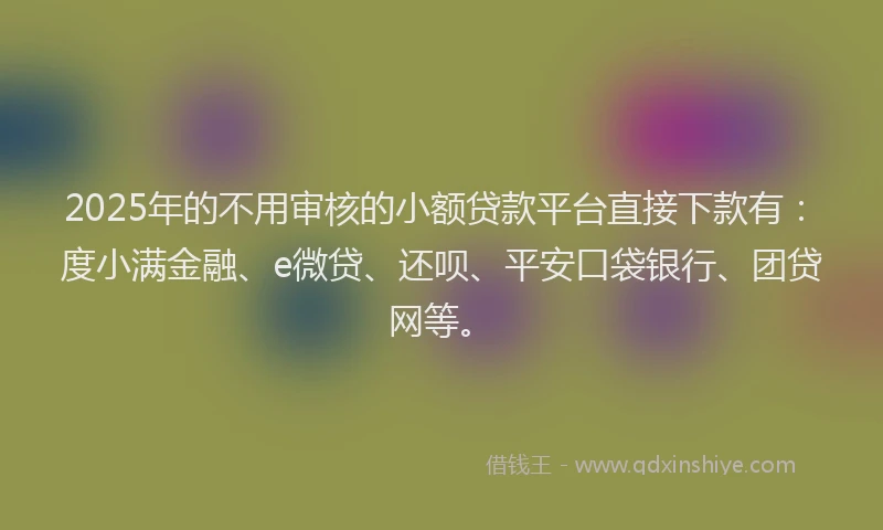 2025年的不用审核的小额贷款平台直接下款有：度小满金融、e微贷、还呗、平安口袋银行、团贷网等。