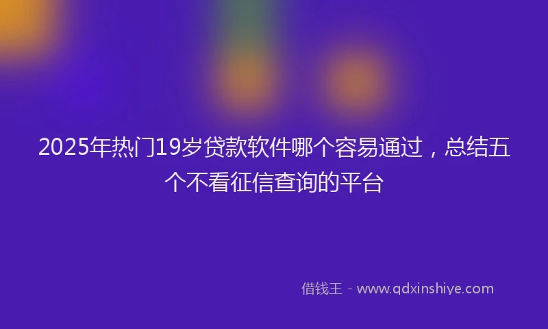 2025年热门19岁贷款软件哪个容易通过，总结五个不看征信查询的平台