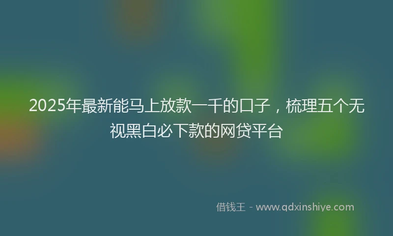 2025年最新能马上放款一千的口子，梳理五个无视黑白必下款的网贷平台