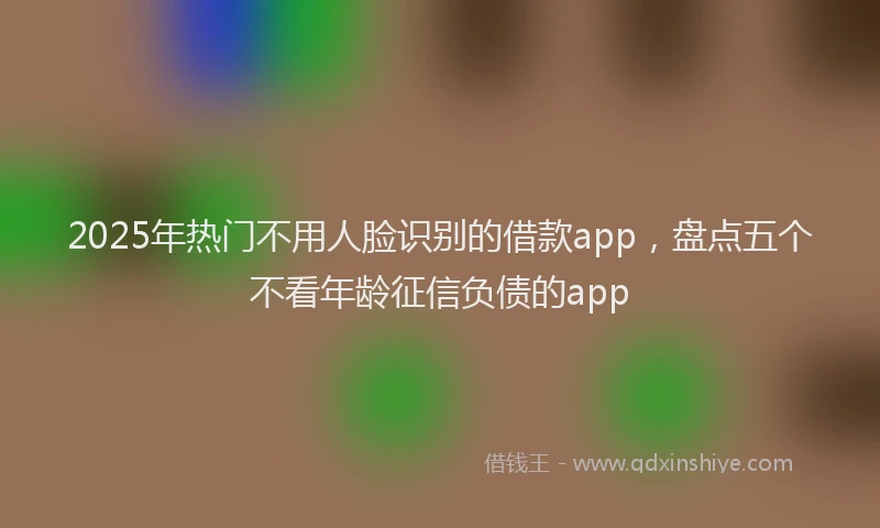 2025年热门不用人脸识别的借款app，盘点五个不看年龄征信负债的app